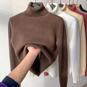 Comfy Family Comfy® Fleece Turtleneck Sweater Brown / S